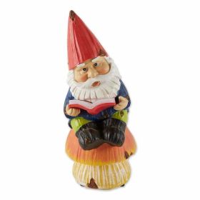 Accent Plus Reading Gnome Solar Statue