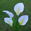 LED Calla Lily Flower Stake Light Solar Energy Rechargeable for Outdoor Garden Patio - White