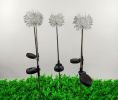 Garden LED Ball Dandelion Flower Stake Light Solar Energy Rechargeable - Transparent