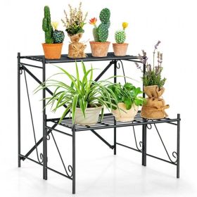 2-Tier Stair Style Metal Plant Stand for Indoor and Outdoor - Black