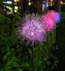 Garden LED Ball Dandelion Flower Stake Light Solar Energy Rechargeable - Transparent