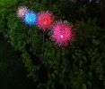 Garden LED Ball Dandelion Flower Stake Light Solar Energy Rechargeable - Transparent