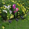 LED Calla Lily Flower Stake Light Solar Energy Rechargeable for Outdoor Garden Patio - White