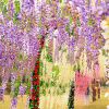 Artificial Wisteria Flowers Vine Silk Flower Wedding Garden Party Hanging Decor - Green