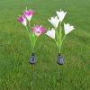 Lily Multi-Changing LED Lights - Solar Garden Stake Lights - White