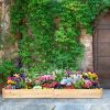 Wooden Vegetable Raised Garden Bed for Backyard Patio Balcony - as show