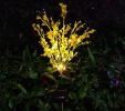 Outdoor Garden Patio Pathway Porch Backyard, LED Canola Flower Stake Light - Yellow