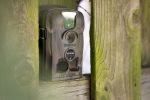 Nightvision Motion Detect Backyard Wildlife Camera to Monitor Wild Animal Attack - 12165acnstddba